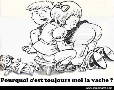 Pourquoi c'est toujours elle la vache ??